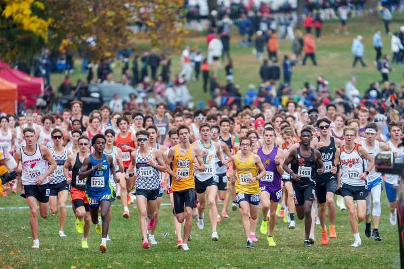 A giant pack of runners race up the incline in the Class 2A boys state cross country championship Saturday, Nov. 8, 2025 at Detweiller Park in Peoria.