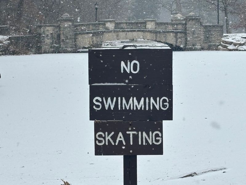 A sign frames the Lincoln Park Lagoon Bridge as snow falls in Springfield on Jan. 24, 2026. The National Weather Service in Lincoln is predicting three to seven inches of snow for Springfield over Saturday and Sunday.