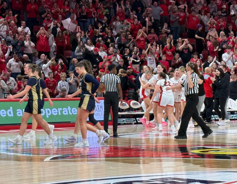 Dee-Mack celebrated after eliminating Rockford Christian from title contention during the state semifinals on March 5, 2026, in Normal.