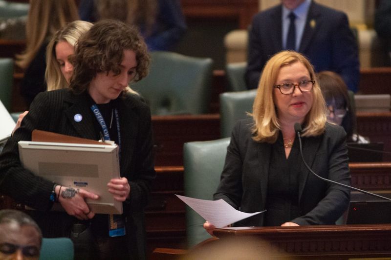 State Rep. Anna Moeller, D-Elgin, presents her Medicaid legislation on the House floor on May 31, 2025.