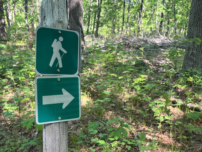 There are also hiking trails along the Trumpeter Trail in the Sandhill Wildlife Area.