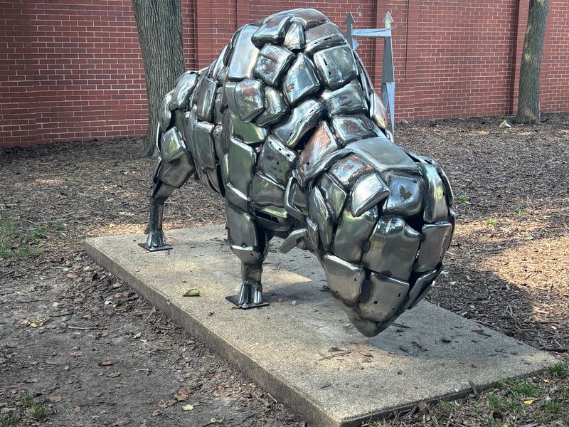 The Bicentennial Bison, simply known as The Buffalo, has become an iconic symbol of the Springfield Art Association since it was installed in 1977. The work in chrome is by John Kearney, a well-known Chicago artist. The Buffalo was restored in Chicago and reinstalled on the Springfield campus about a year ago.