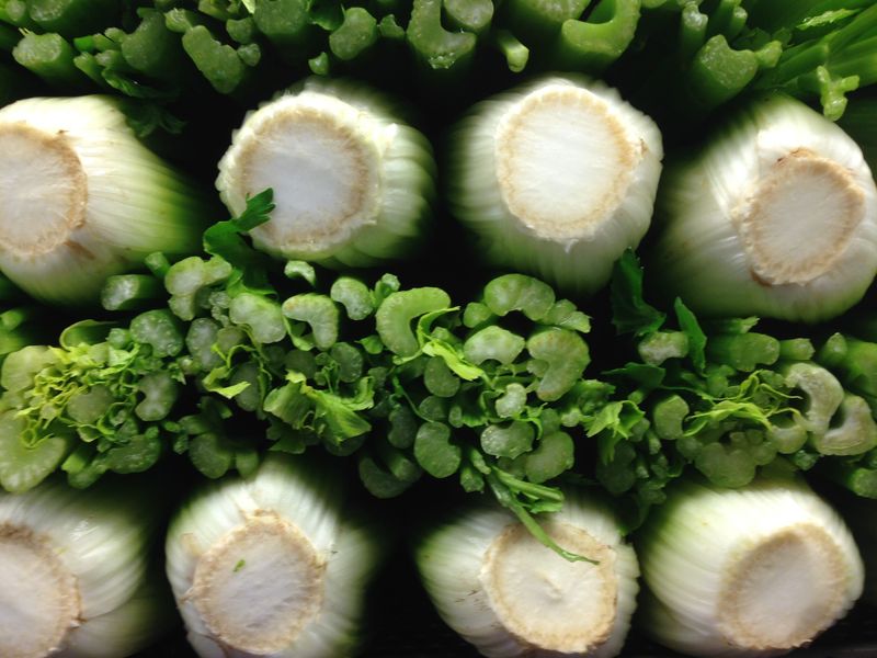 Celery is stacked in the produce aisle at the Nugget Market in Elk Grove on May 20, 2015. Green and white are the only colors in this scene.