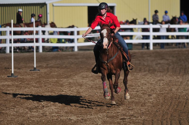 Horses and riders compete Monday, June, 24, 2019, during the Wayne County 4-H Fair.