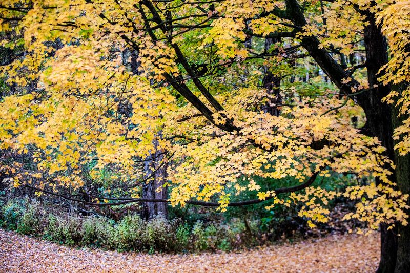 Holliday Park in Indianapolis, Tuesday, Oct. 20, 2020.
