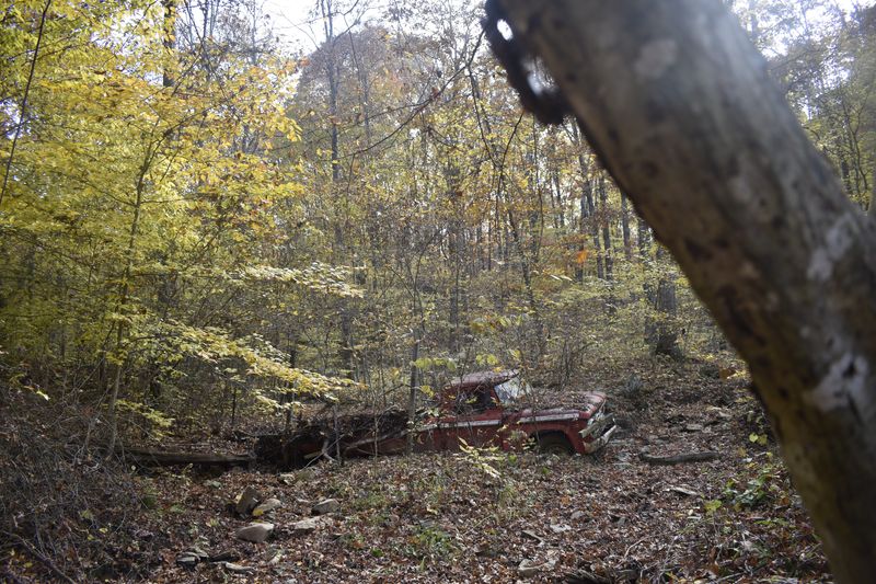 It's easy to miss this old truck mired at Green's Bluff.