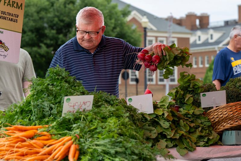 The Farmer’s Market, Carmel, Ind. Saturday, June 8, 2024.