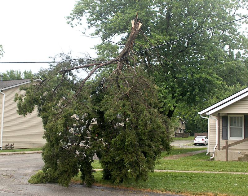 A broken tree limb hangs on a power line on West Gifford Road near Bloomington on June 25, 2024.