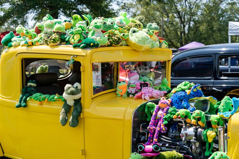 Stuffed frogs cover a classic Plymouth during the 49th annual Frog Follies hosted by E’ville Iron Street Rods Ltd. at the Vanderburgh 4-H Center in Evansville, Ind., Saturday, Aug 24, 2024.