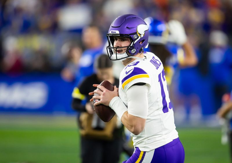 Jan 13, 2025; Glendale, AZ, USA; Minnesota Vikings quarterback Daniel Jones (13) against the Los Angeles Rams during an NFC wild card game at State Farm Stadium. Mandatory Credit: Mark J. Rebilas-Imagn Images