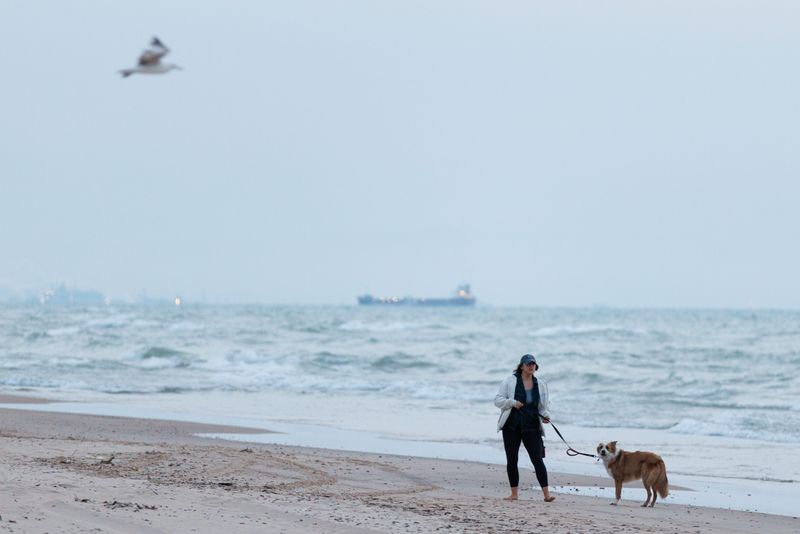 Beth Cormack and her 8-year-old border collie Aussie mix Kevin walk the shore of Lake Michigan at Indiana Dunes State Park on Monday, May 19, 2025, in Chesterton, Indiana.