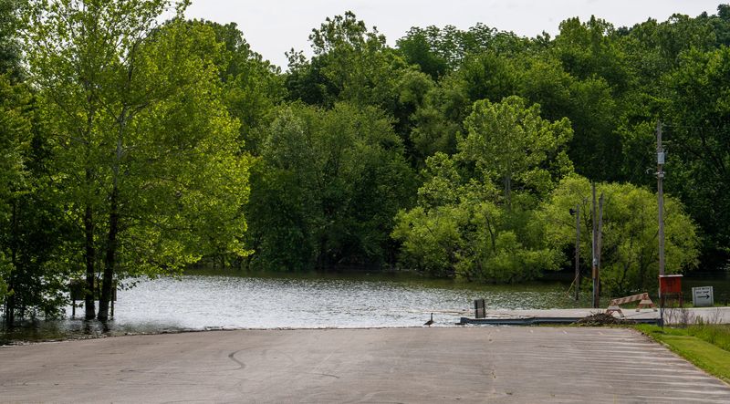 A goose stands at the flooded boat ramp at the Cutright State Recreation Area on Saturday, May 24, 2025.