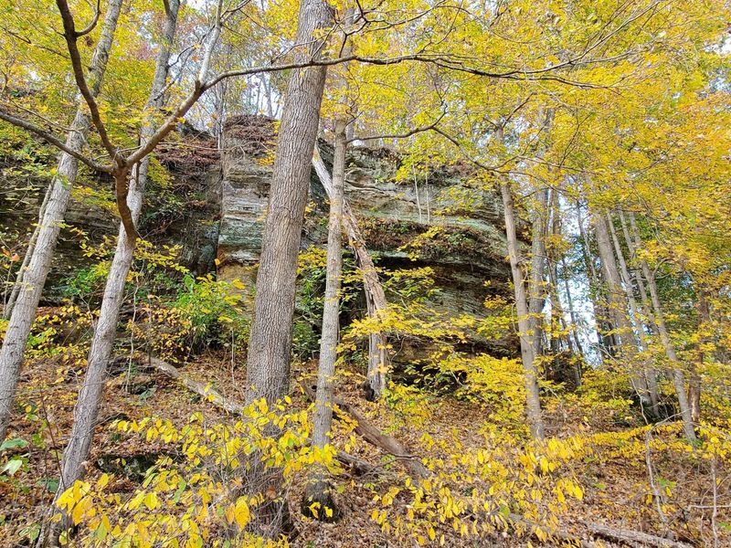 Bluffs of Beaver Bend in Martin County are worth a visit and are one of the sites that will be part of the June Bedford Parks Program.