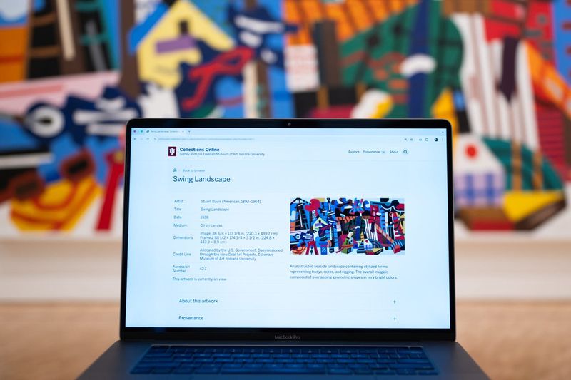 Collections Online shares works in the Eskenazi Museum of Art collection that people can see in Bloomington, or online. Shown here, online and in the background is "Swing Landscape."