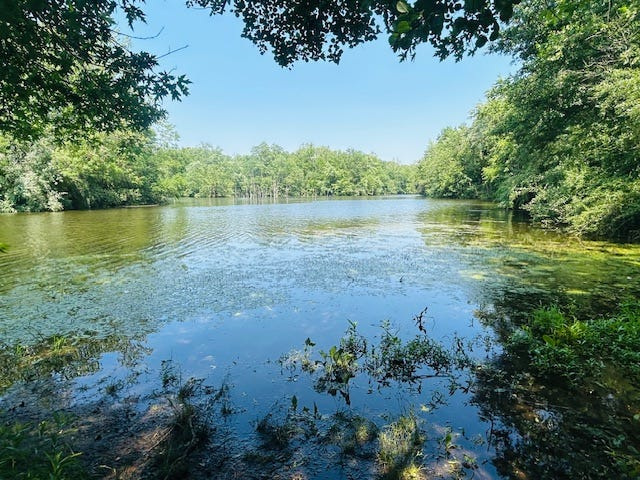 One of the many lakes at Finger Lakes State Park in Missouri.