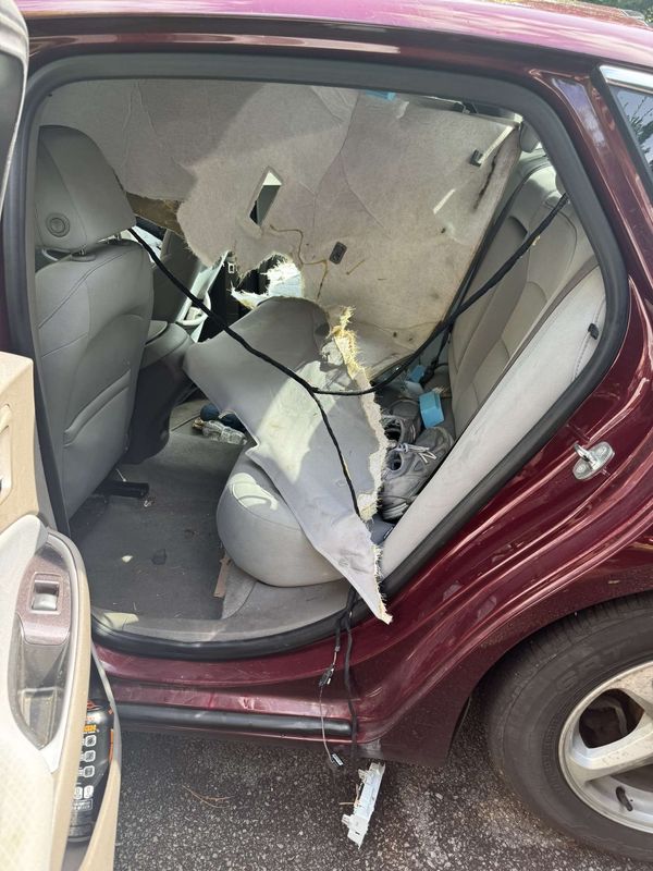 The damage inside Nick Trout's car after a bear locked herself inside and started wreaking havoc.