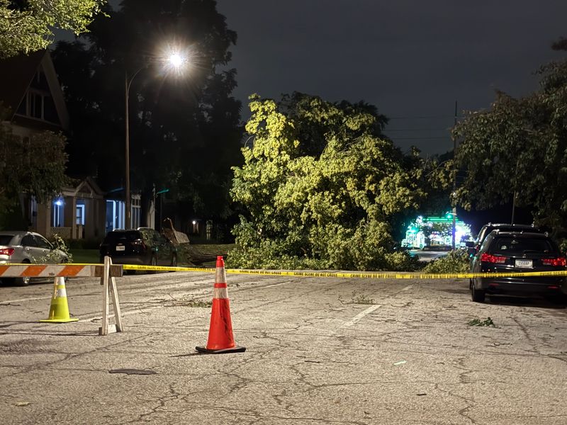 A tree lays across Delaware Avenue at 21st Street in Indianapolis after a storm brought high winds to the region Wednesday, June 18, 2025.