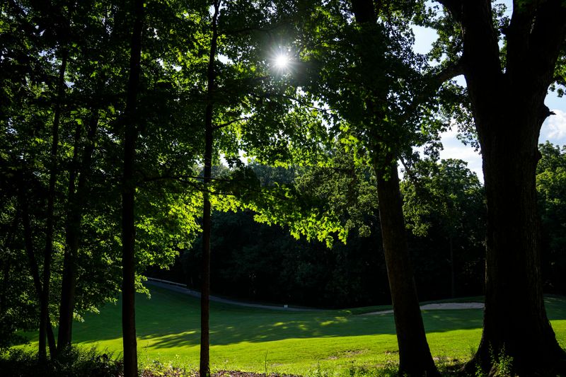 The sun shines through the trees Tuesday, July 1, 2025, on the 4th hole at the Fort Golf Resort in Indianapolis.