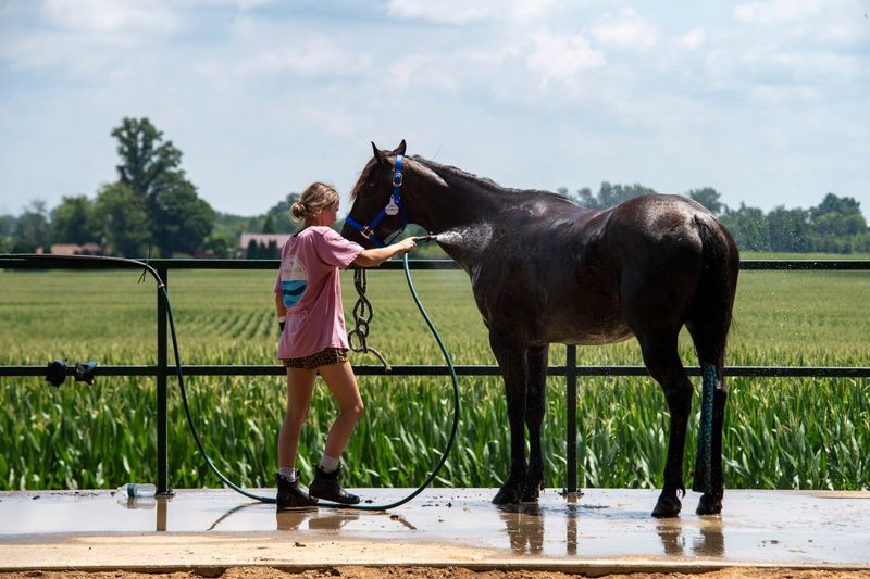 Sawyer Kelley sprays down her horse Darla during the 2025 Warrick County Fair Wednesday, July 16, 2025.