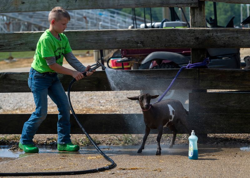 Rogan Curtis, 10, sprays down his goat Luna during the 2025 Vanderburgh County Fair Thursday, July 24, 2025.