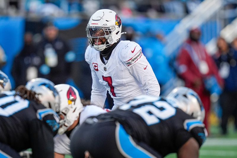 Dec 22, 2024; Charlotte, North Carolina, USA; Arizona Cardinals linebacker Kyzir White (7) during the second half against the Carolina Panthers at Bank of America Stadium. Mandatory Credit: Jim Dedmon-Imagn Images