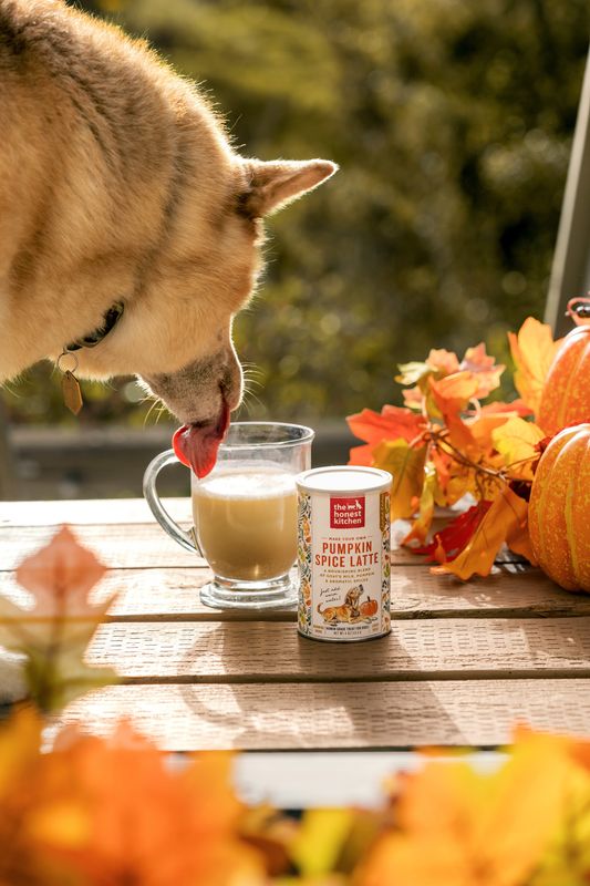 The Honest Compnay has launched the seasonal Pumkpin Spice Lattee for dogs.