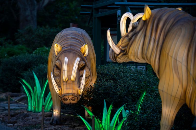 Opening night of Wild Summer Lights Lantern Festival presented by Liberty Federal Credit Union and Mesker Park Zoo at Mesker Park Zoo and Botanic Garden in Evansville, Ind., Thursday, Aug. 14, 2025.