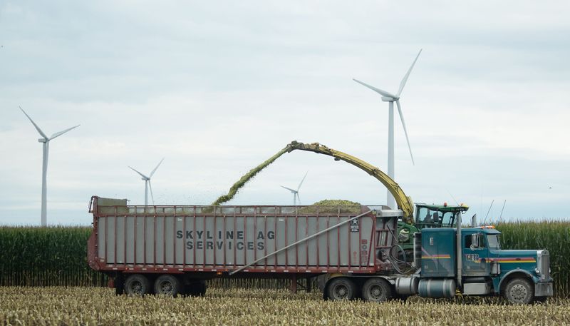 Corn is harvested Thursday, Aug. 28, 2025, in Benton County, Indiana.