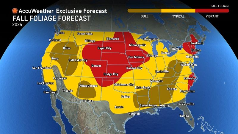 A map of the United States provided by AccuWeather predicts what parts of the country will have the most vibrant fall foliage in 2025.