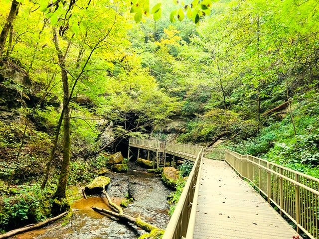 The ramp that leads to Donaldson Cave on Trail 4 at Spring Mill State Park.