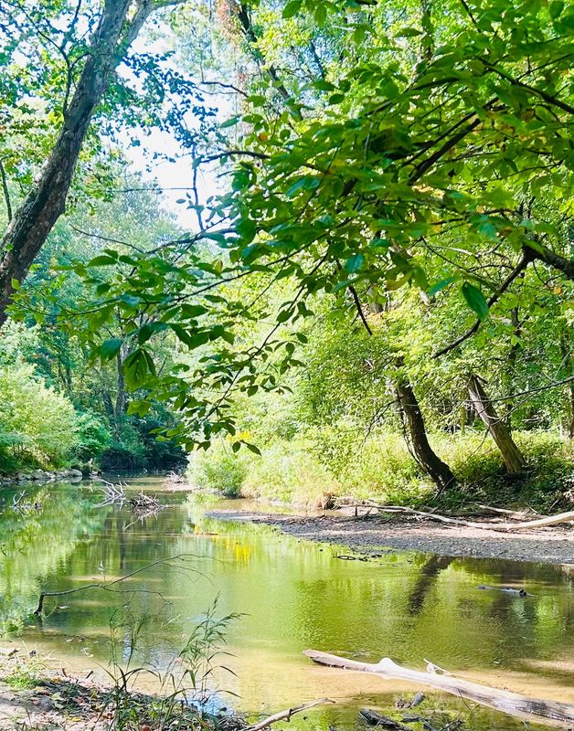 A view of Buck Creek is seen from Southeastway Park in Indianapolis.