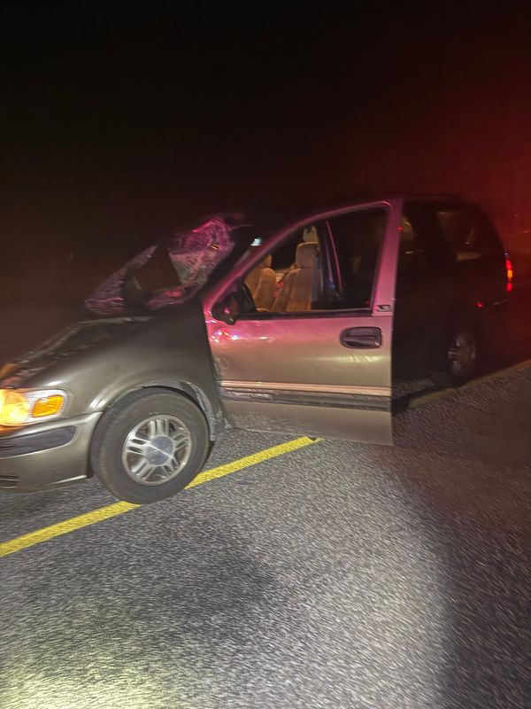 The Cass County Sheriff's Department released these photos of a car that his a cow standing on Calvin Center Road, hospitalizing the driver from Dowagiac early on the morning of Sept. 26, 2025.