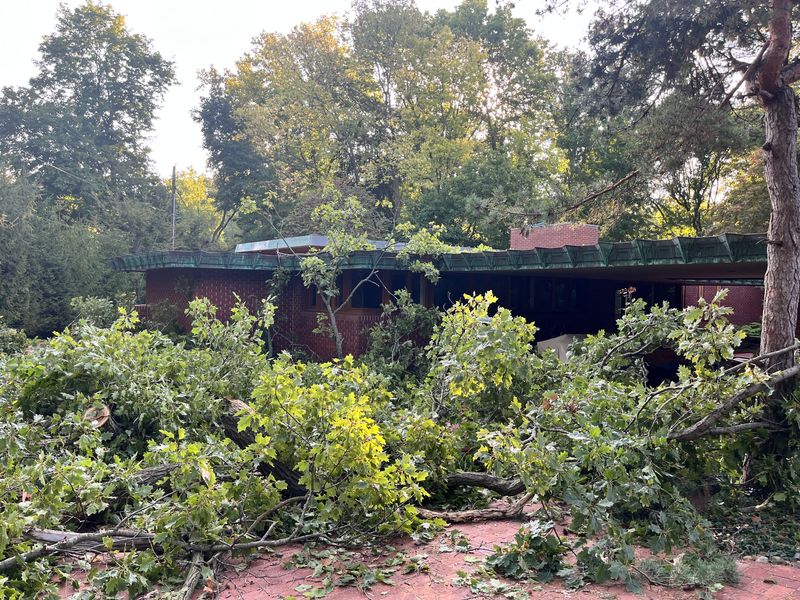 This is what awaited the staff of the Frank Lloyd Wright Samara House the morning of Sept. 17, 2025, after a fallen tree damaged the corner of the house and the historic driveway.