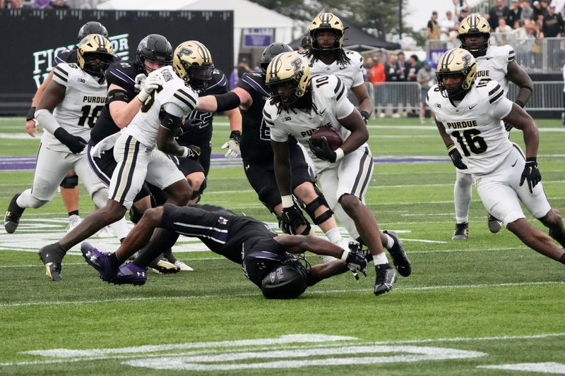Oct 18, 2025; Evanston, Illinois, USA; Purdue Boilermakers linebacker Alex Sanford (10) recovers a fumble against the Northwestern Wildcats running back Dashun Reeder (24) during the second half at Northwestern Medicine Field at Martin Stadium. Mandatory Credit: David Banks-Imagn Images
