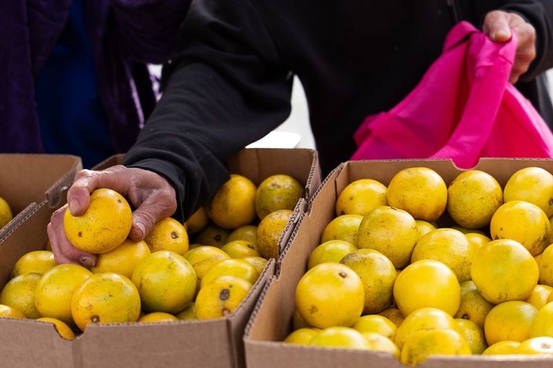 A person takes their allotment of lemons Monday, Oct. 27, 2025, at Mid-North Food Pantry just off Meridian Street in Indiananapolis.