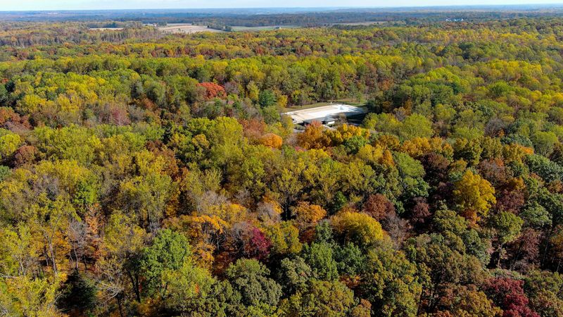 Fall foliage shows in the canopy Thursday, Oct. 30, 2025, near the Centennial Shelter at McCormick’s Creek State Park in Spencer, Ind.