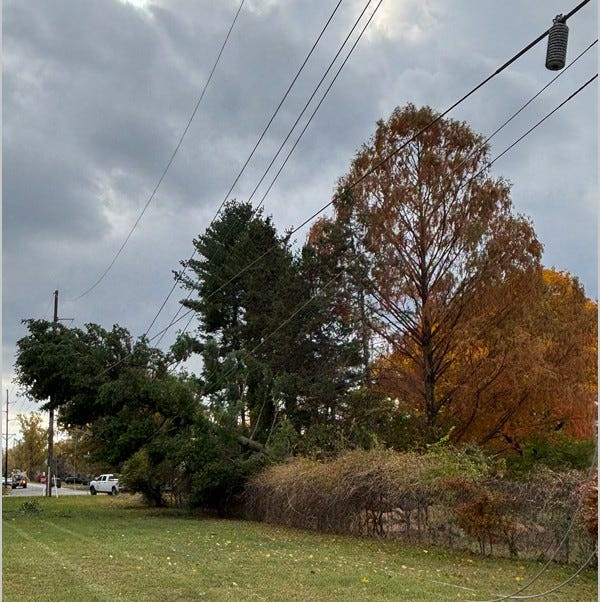 Almost 13,000 customers of Indiana Michigan Power and Mishawaka Utilities in St. Joseph County and Mishawaka lost power for about six hours Nov. 5, 2025, when this tree fell on power lines.