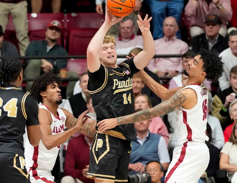 Nov 13, 2025; Tuscaloosa, Alabama, USA; Purdue guard Jack Benter (14) passes out of a double team by Alabama forward Amari Allen (5) and Alabama guard Houston Mallette (95) at Coleman Coliseum. Mandatory Credit: Gary Cosby Jr.-Tuscaloosa News
