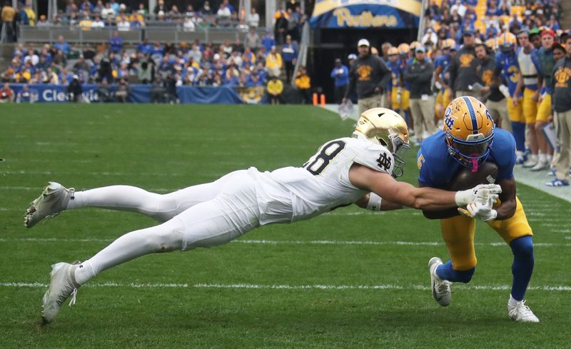 Nov 15, 2025; Pittsburgh, Pennsylvania, USA; Notre Dame Fighting Irish safety Luke Talich (28) prevents Pittsburgh Panthers wide receiver Raphael Williams Jr. (5) from crossing the goal line during the third quarter at Acrisure Stadium. Mandatory Credit: Charles LeClaire-Imagn Images