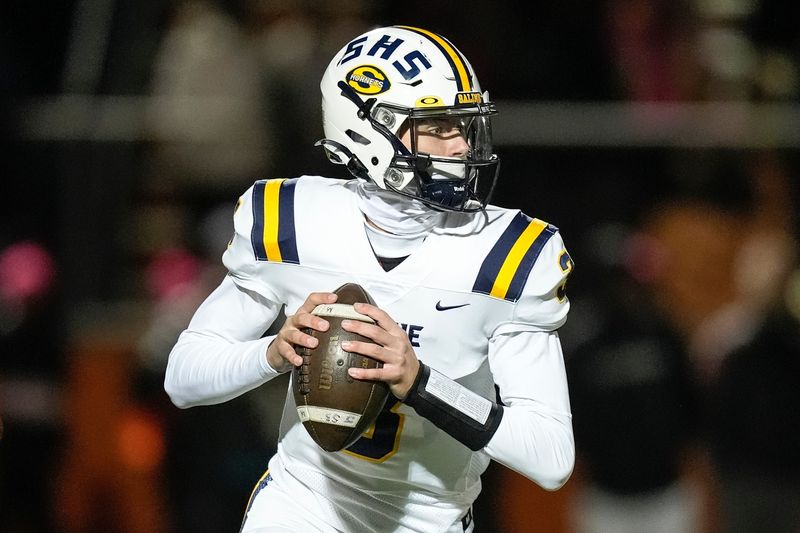 Saline quarterback Tommy Carr looks to pass against Belleville during the first half of district final at Belleville High School in Belleville on Friday, Nov. 8, 2024.