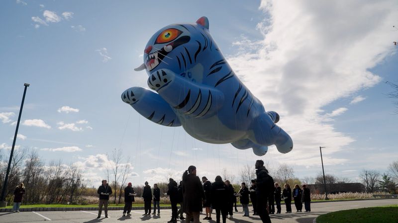 Large, inflatable balloons depicting characters Derpy Tiger and Sussie were tested before the 99th Macy's Thanksgiving Day Parade.