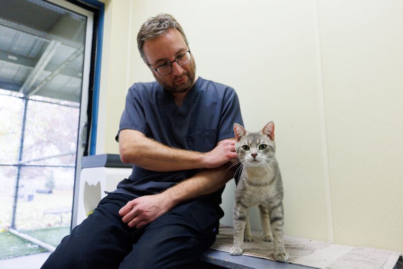 Matt Russell, outreach coordinator at Humane Society of St. Joseph County, pets one of the cats available for adoption on Tuesday, Nov. 18, 2025, in Mishawaka.