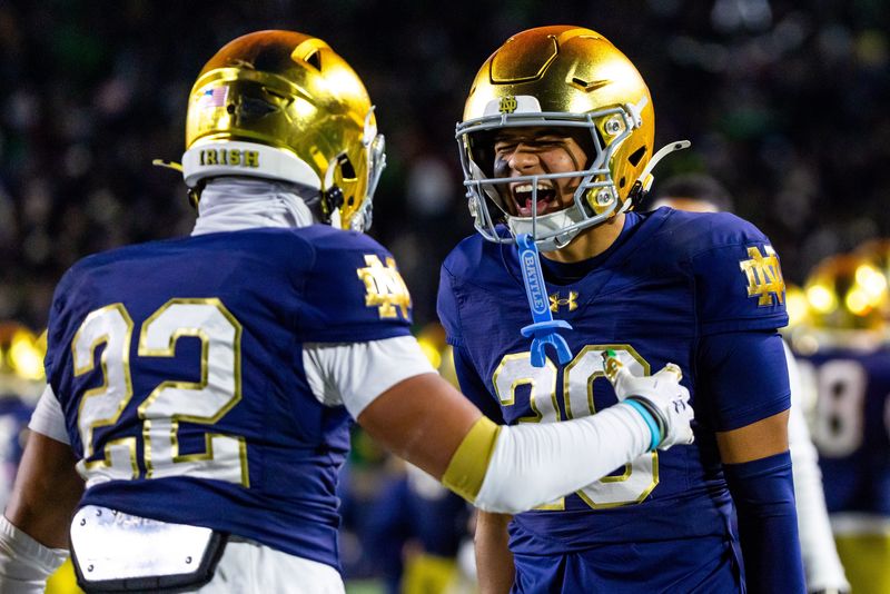 Nov 22, 2025; South Bend, Indiana, USA; Notre Dame Fighting Irish safety Ethan Long (22) celebrates an interception with cornerback Cree Thomas, right, during the second half at Notre Dame Stadium. Mandatory Credit: Michael Caterina-Imagn Images