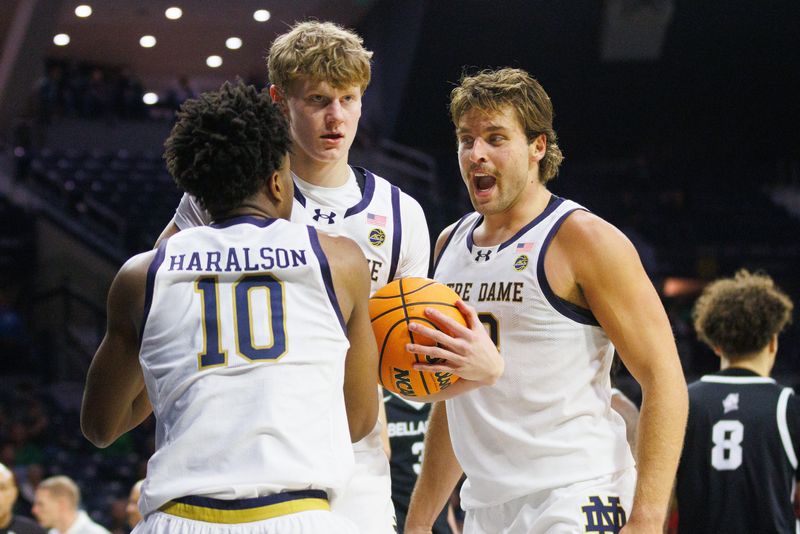 Notre Dame forward Carson Towt, right, celebrates after guard Jalen Haralson (10) drew a foul during a NCAA men's basketball game against Bellarmine at Purcell Pavilion on Wednesday, Nov. 19, 2025, in South Bend.