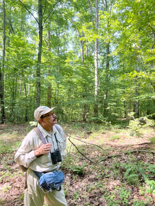 Kamal Islam, a former professor at Ball State University who worked with the Cerulean Warbler Research Laboratory at BSU, stands in Unit 8 of the Hardwood Ecosystem Experiment in Yellowwood State Forest. It's one of the best known breeding locations for cerulean warblers in Indiana.