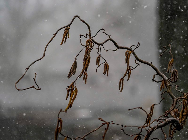 Wind gusts bring snow and change an overcast day to near-whiteout conditions before quickly changing to sun Monday morning, March 16, 2026, in Indianapolis.