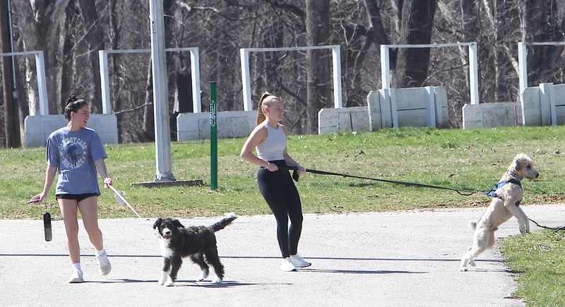 Emma Brown, left, and her dog Rossi look on as Graycen Todd attempts to restrain her dog Biggs after Biggs saw a squirrel. The four were enjoying the nice weather on the afternoon of Thursday, March 12, 2026, by taking a walk in Wilson Park.