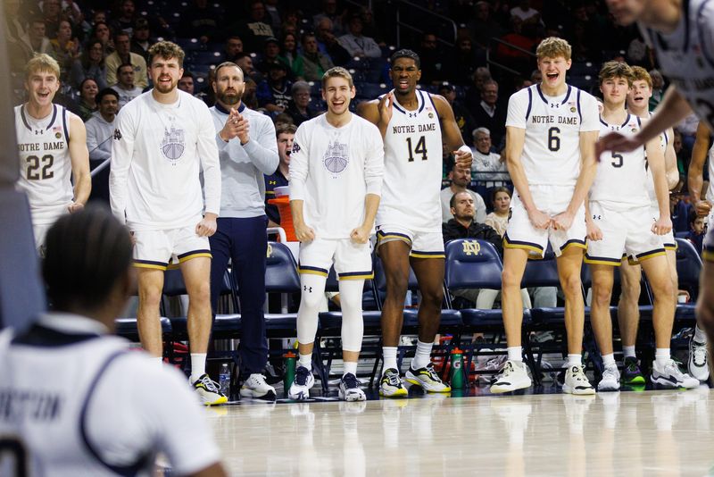 Notre Dame celebrates after guard Markus Burton, bottom left, drew a foul during a NCAA men's basketball game against Bellarmine at Purcell Pavilion on Wednesday, Nov. 19, 2025, in South Bend.