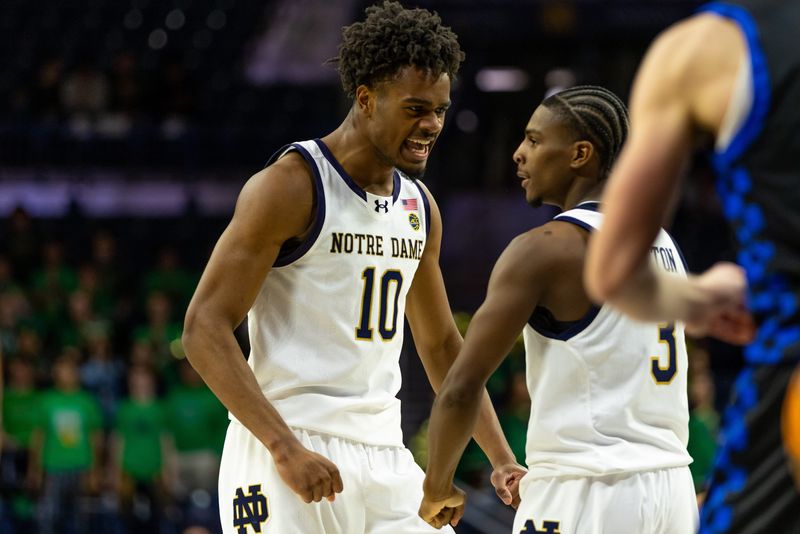 Nov 11, 2025; South Bend, Indiana, USA; Notre Dame Fighting Irish guard Jalen Haralson (10) celebrates with guard Markus Burton (3) against the Eastern Illinois Panthers during the second half at Purcell Pavilion at the Joyce Center. Mandatory Credit: Michael Caterina-Imagn Images