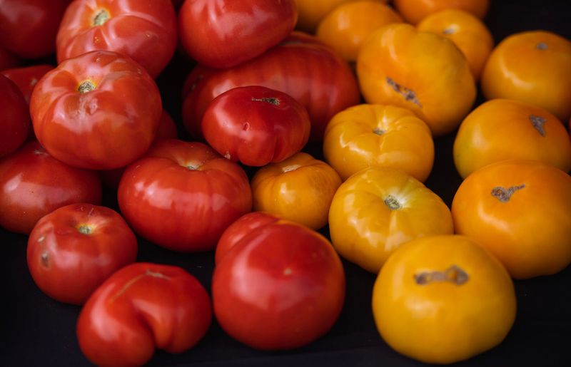 Tomatoes for sale at the Poole Mill booth during the Bloomington Community Farmers' Market on Saturday, April 11, 2026.